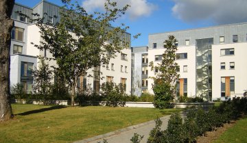 Emerald - Marino Institute