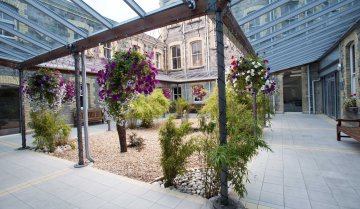 Emerald - Marino Institute