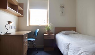 Emerald - Marino Institute